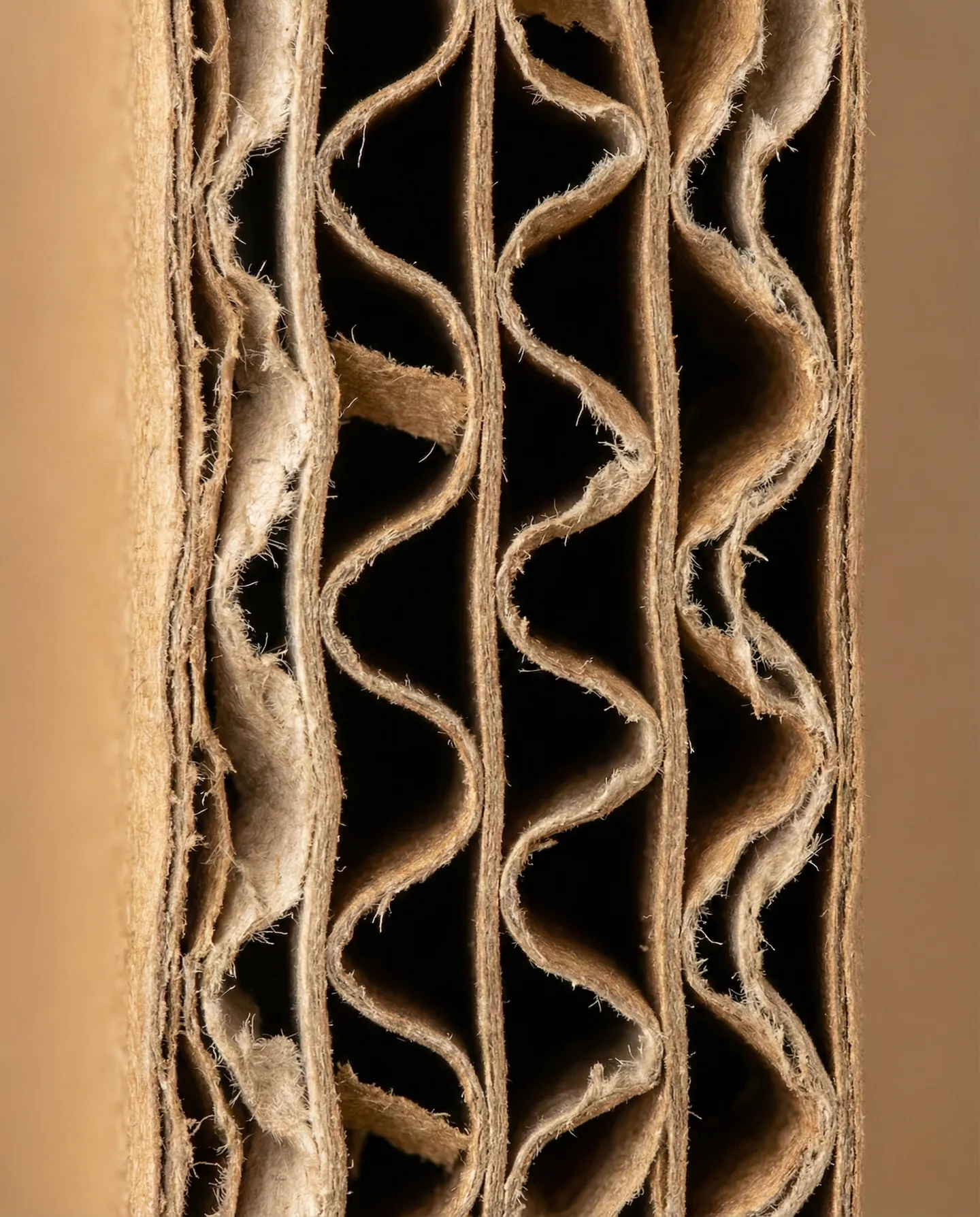 Detaliu macro al peretelui unei cutii de carton arătând cele două rânduri de ondulații (5 straturi), simbolizând rezistența structurală