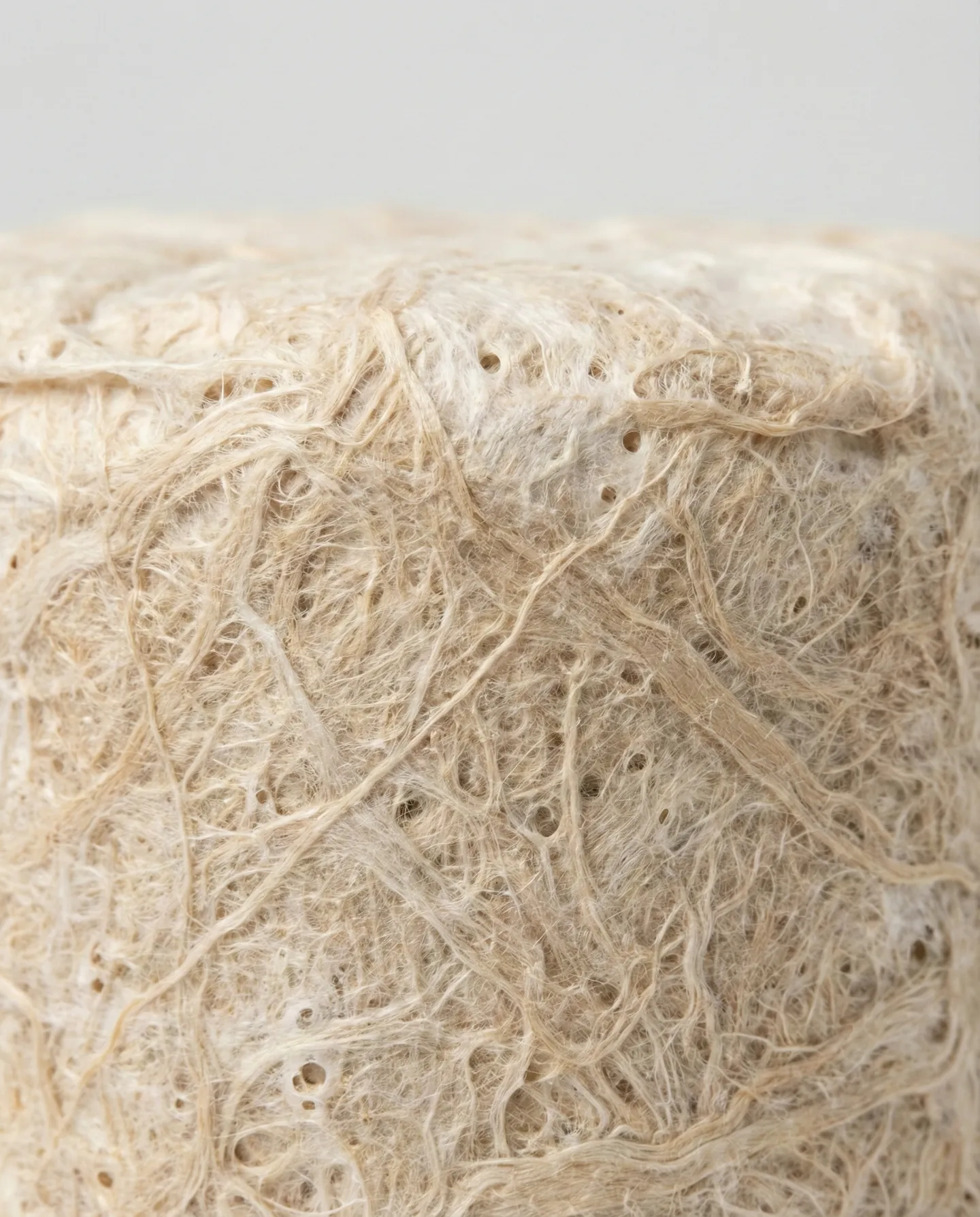 Detaliu macro al texturii ambalajului din miceliu, evidențiind structura organică și biodegradabilă